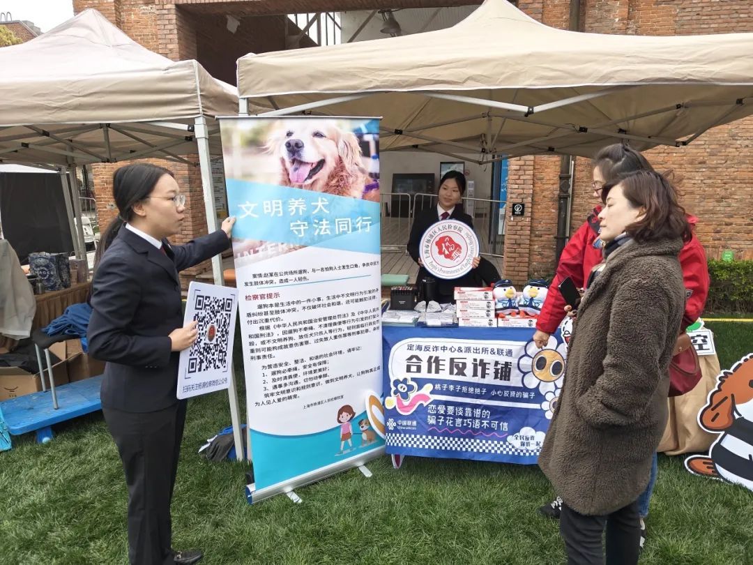 太好了是汪汪队！易被骗群体有救啦！