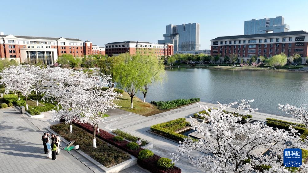 校园赏花季——姹紫嫣红竞春晖 校园赏花季——姹紫嫣红竞春晖