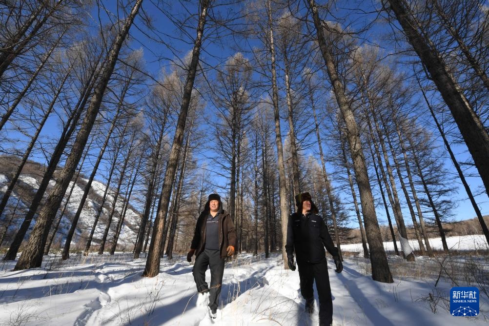 光影流年丨林海告别斧锯声 光影流年丨林海告别斧锯声