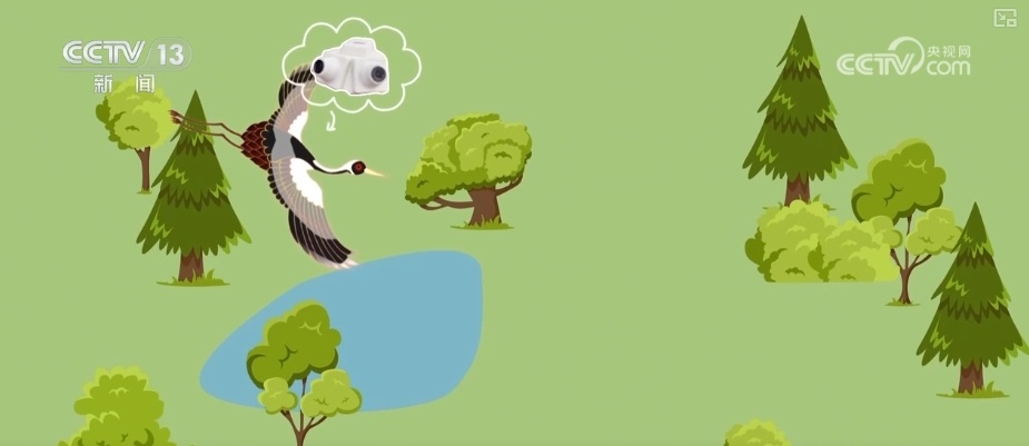 空中第一视角，绝美！跟着“摄影师”白枕鹤“蒙蒙”饱览生态之美