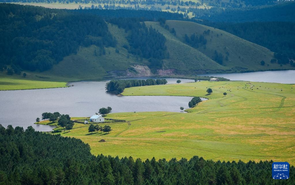 光影流年丨林海告别斧锯声 光影流年丨林海告别斧锯声