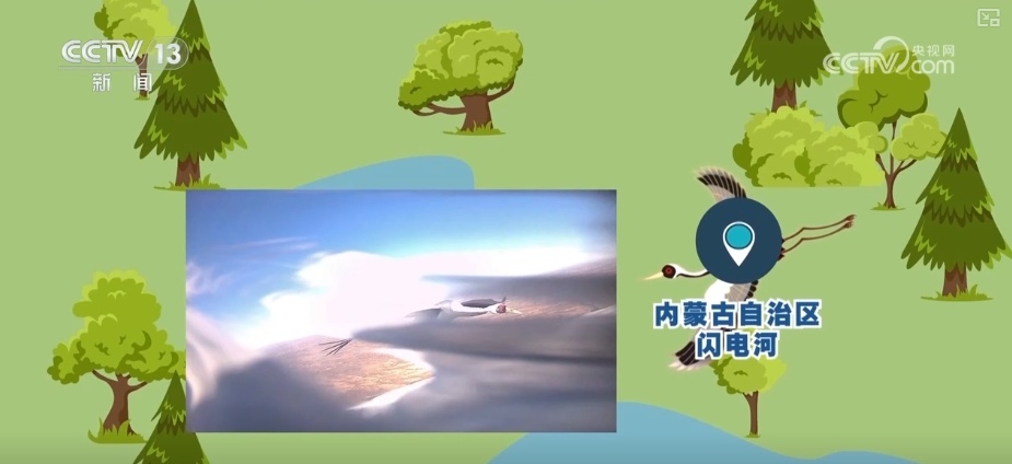 空中第一视角，绝美！跟着“摄影师”白枕鹤“蒙蒙”饱览生态之美