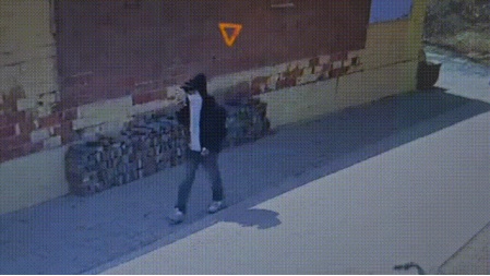 “孙子”被抓，爷爷奶奶乐开花？