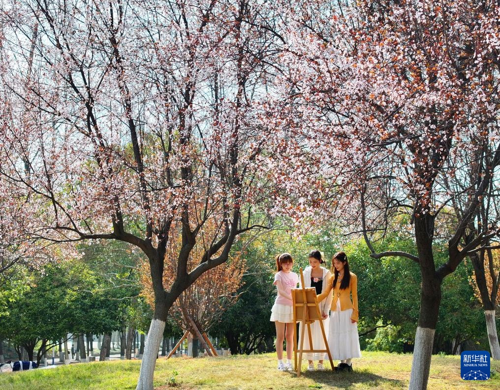 校园赏花季——姹紫嫣红竞春晖 校园赏花季——姹紫嫣红竞春晖