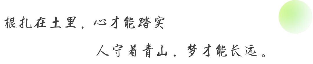 绿染崖沟春又来!“北京大视听”重点项目《青山是故乡》登陆CCTV-1黄金档 绿染崖沟春又来!“北京大视听”重点项目《青山是故乡》登陆CCTV-1黄金档