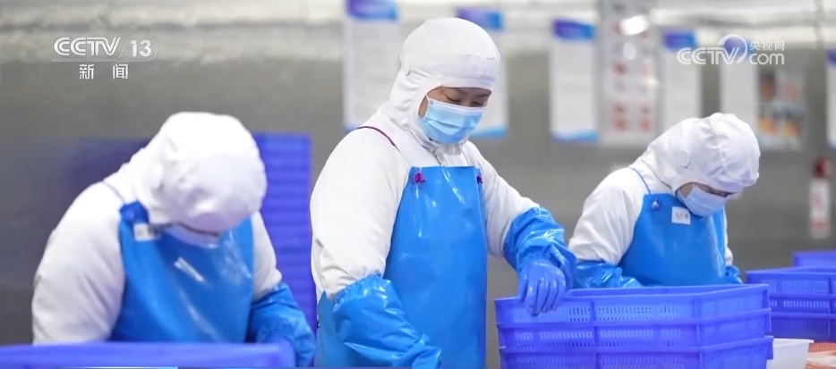 从沙漠到海洋 从新疆到世界 民营企业技术出“新”驭风“出海”