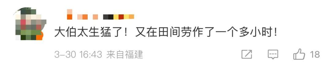 “咬到一口，肿到发黑！”假期出游当心，有人中毒送医，这些常识能救命