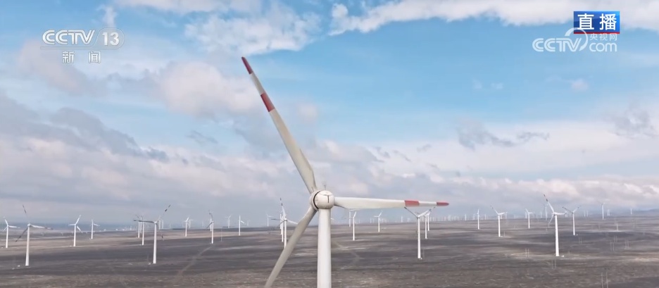 从沙漠到海洋 从新疆到世界 民营企业技术出“新”驭风“出海”