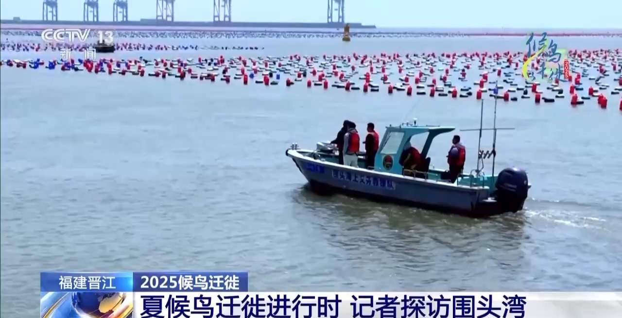 在观鸟界火出圈的明溪县 究竟有什么独特魅力? 在观鸟界火出圈的明溪县 究竟有什么独特魅力?