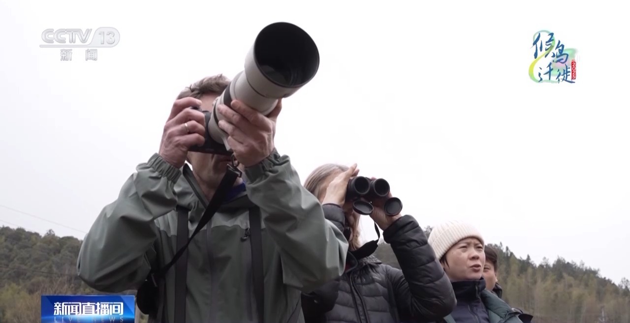 在观鸟界火出圈的明溪县 究竟有什么独特魅力? 在观鸟界火出圈的明溪县 究竟有什么独特魅力?