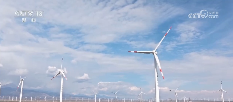 从沙漠到海洋 从新疆到世界 民营企业技术出“新”驭风“出海”