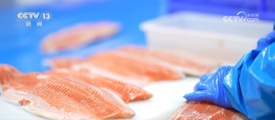 从沙漠到海洋 从新疆到世界 民营企业技术出“新”驭风“出海”