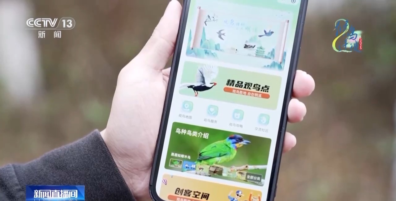 在观鸟界火出圈的明溪县 究竟有什么独特魅力? 在观鸟界火出圈的明溪县 究竟有什么独特魅力?