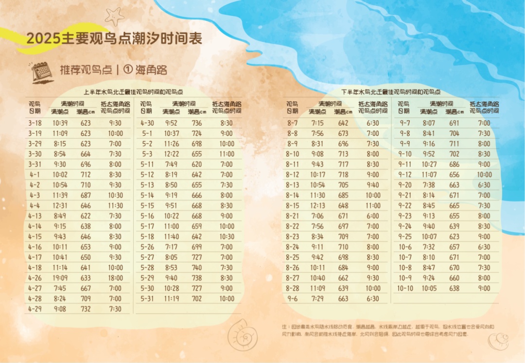 叮~丹东向您发出观鸟邀请函 叮~丹东向您发出观鸟邀请函