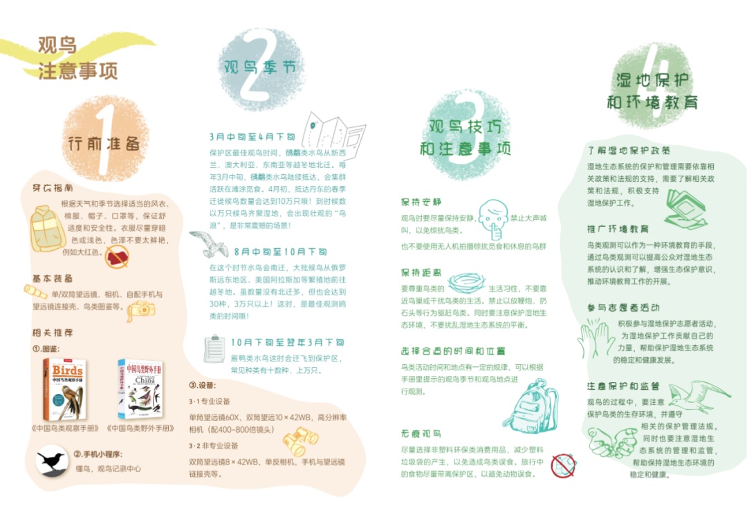 叮~丹东向您发出观鸟邀请函 叮~丹东向您发出观鸟邀请函