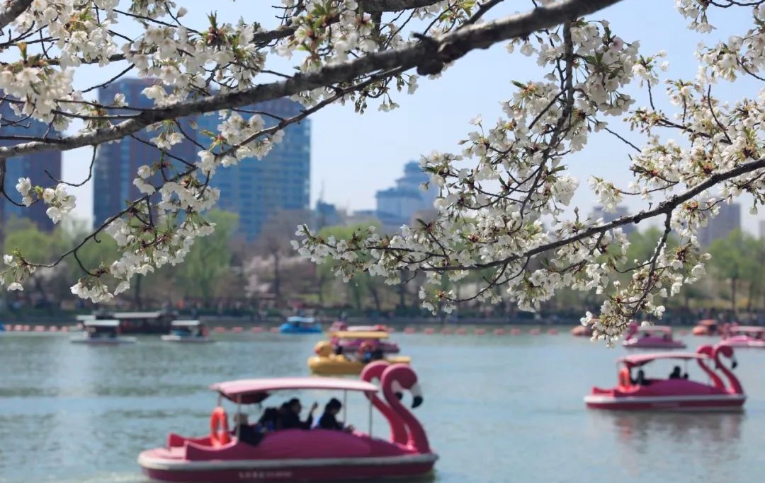 建议收藏!清明出行,需要提前留心的重要信息,全在这儿了—— 建议收藏!清明出行,需要提前留心的重要信息,全在这儿了——