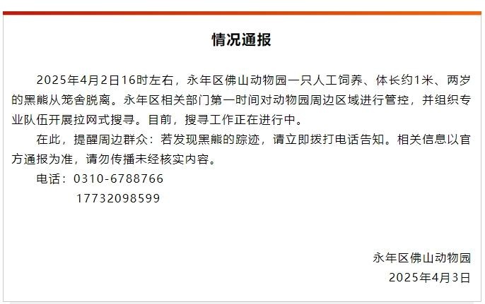 官方通报“河北一动物园有黑熊出逃”：开展拉网式搜寻