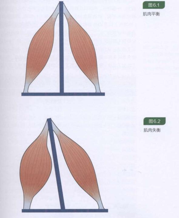 一个方法，就能告别圆肩驼背、“富贵包”！强烈建议你试试
