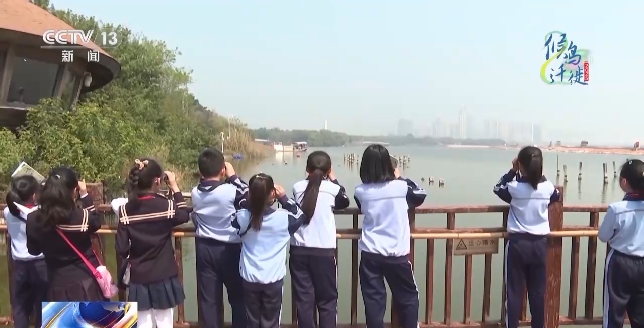 在观鸟界火出圈的明溪县 究竟有什么独特魅力? 在观鸟界火出圈的明溪县 究竟有什么独特魅力?