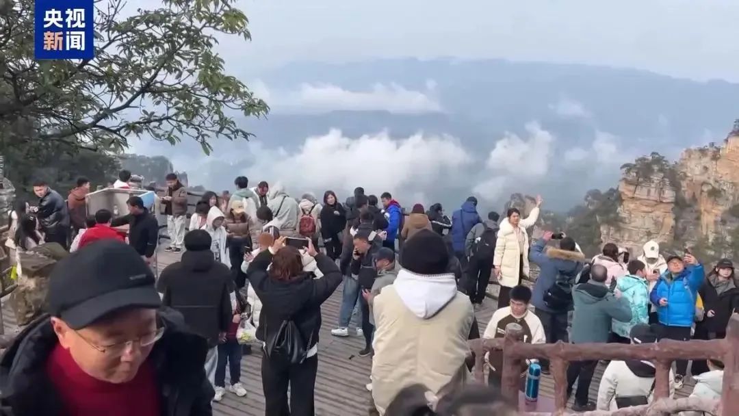 上海清明小长假天气出炉！清明假期“2小时高铁圈”短途游火热，这些城市热选→