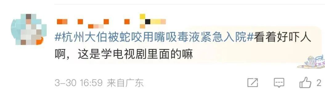 “咬到一口，肿到发黑！”假期出游当心，有人中毒送医，这些常识能救命