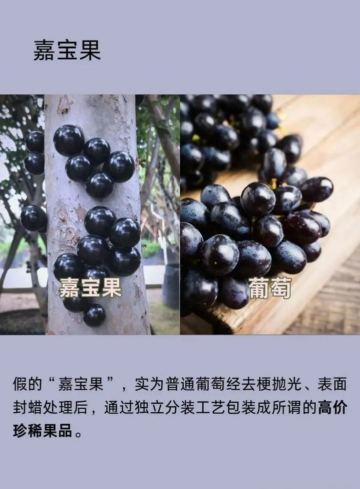 别被忽悠了！这些蔬果名字一换，身价翻番！