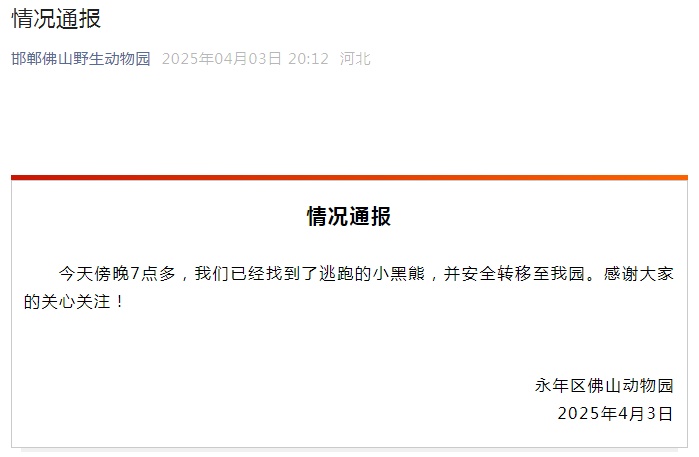河北邯郸出逃小黑熊找到了!已安全转移至园内 河北邯郸出逃小黑熊找到了!已安全转移至园内