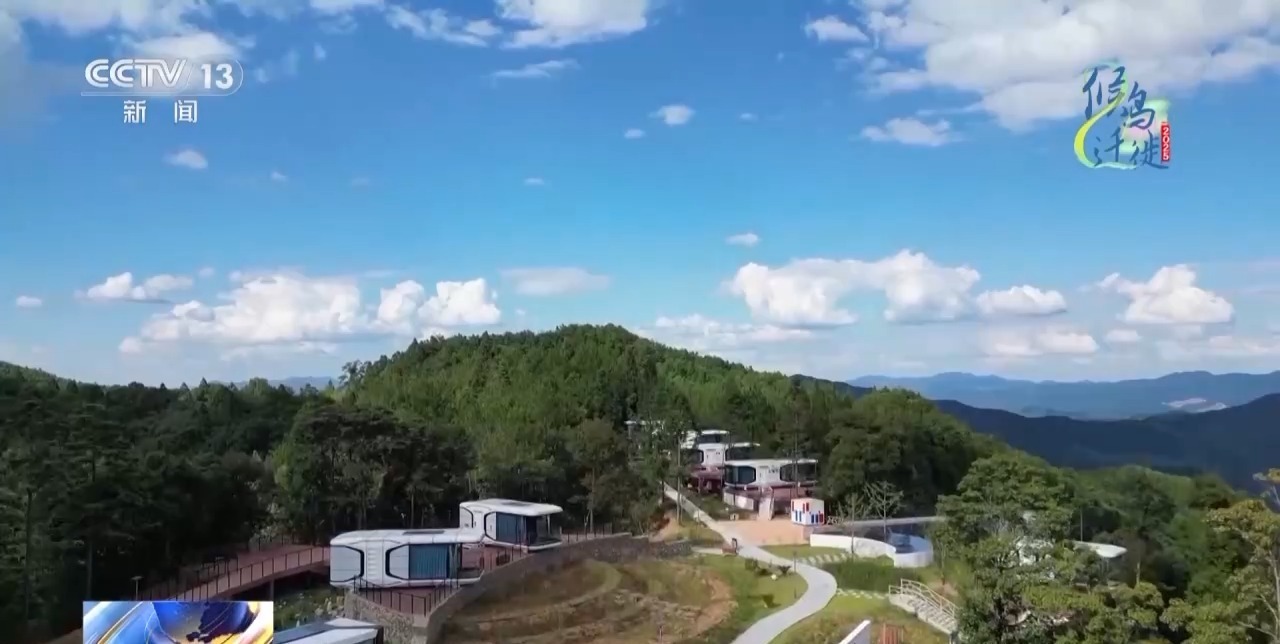 在观鸟界火出圈的明溪县 究竟有什么独特魅力? 在观鸟界火出圈的明溪县 究竟有什么独特魅力?