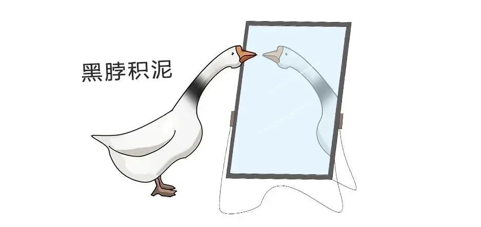 脖子“洗不干净”,或是身体发出危险信号 脖子“洗不干净”,或是身体发出危险信号