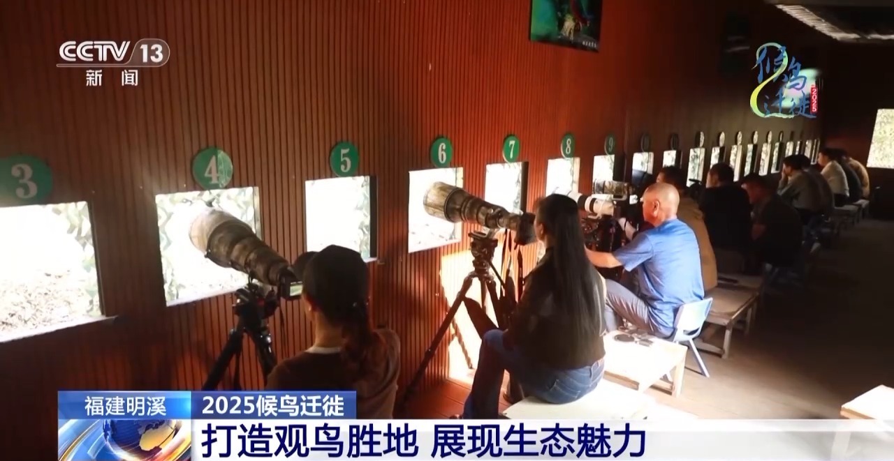 在观鸟界火出圈的明溪县 究竟有什么独特魅力? 在观鸟界火出圈的明溪县 究竟有什么独特魅力?