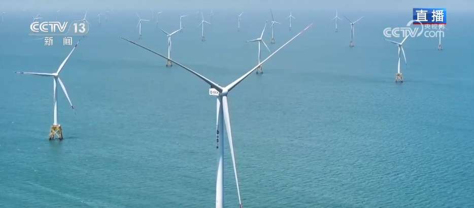 从沙漠到海洋 从新疆到世界 民营企业技术出“新”驭风“出海”