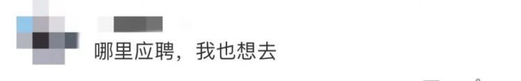 月入4000元！每天鞠躬上百次，职业扫墓人代扫墓，引网友热议