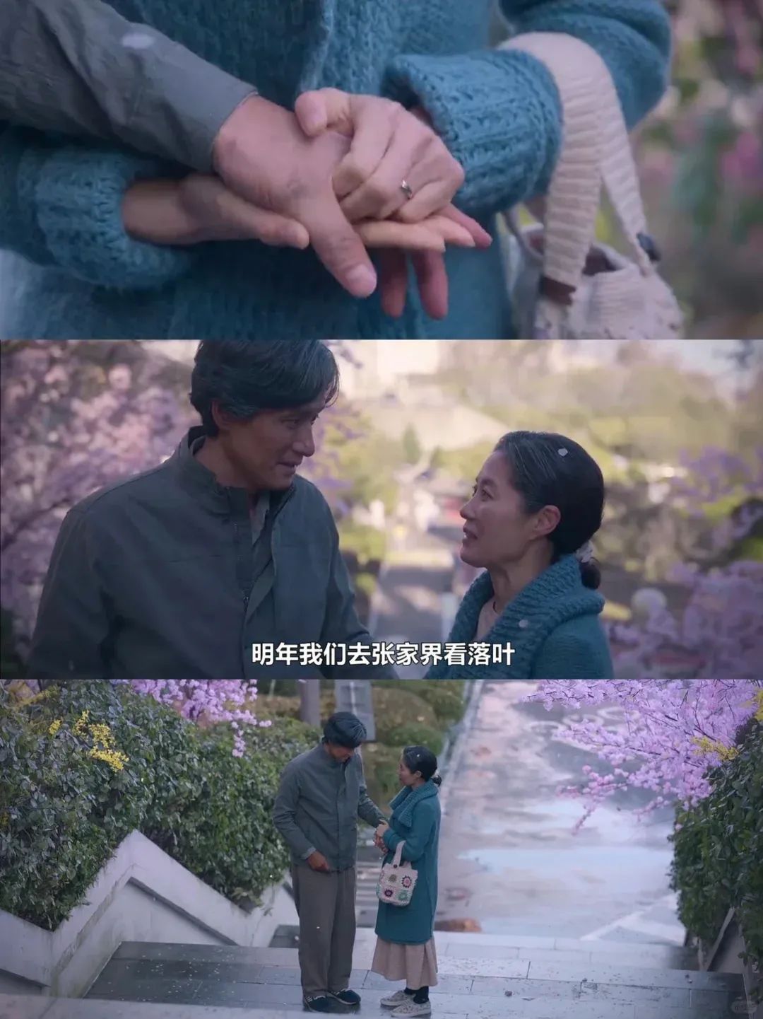 “明年一起去张家界看落叶”火了！张家界向剧组发邀请函