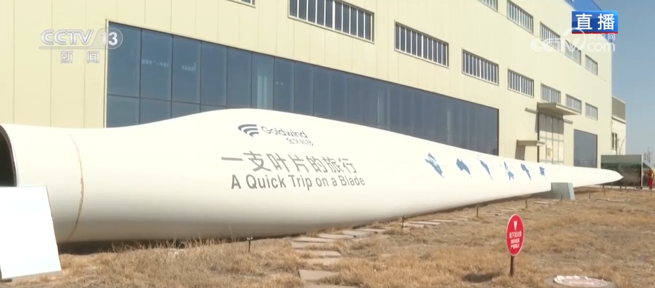 从沙漠到海洋 从新疆到世界 民营企业技术出“新”驭风“出海”