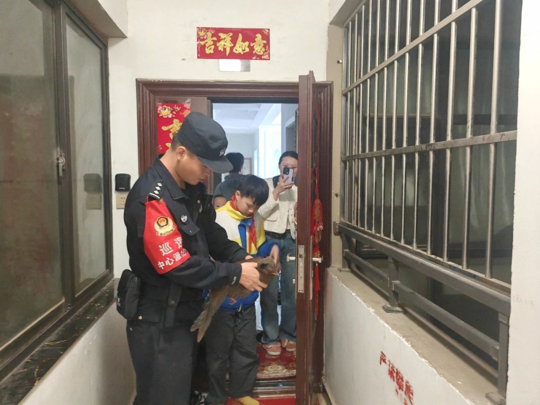 国家二级保护动物！在南昌被救