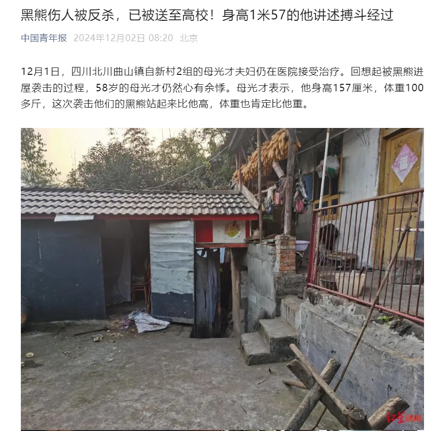 河北一动物园有熊出逃，仍未找到！最新通报……