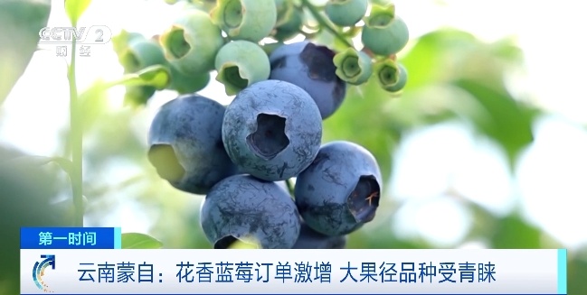 降价啦！从上百元一斤到9.9元一盒，很多人爱吃……