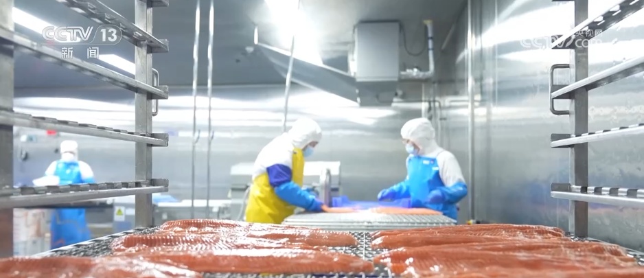 从沙漠到海洋 从新疆到世界 民营企业技术出“新”驭风“出海”