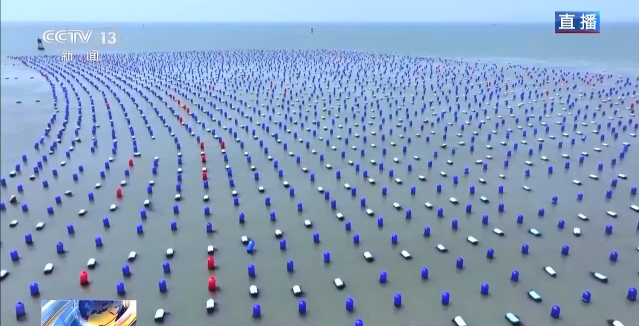 在观鸟界火出圈的明溪县 究竟有什么独特魅力? 在观鸟界火出圈的明溪县 究竟有什么独特魅力?