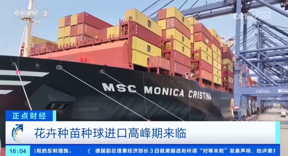 花卉消费市场崛起 花卉种苗种球进口迎来高峰期 花卉消费市场崛起 花卉种苗种球进口迎来高峰期