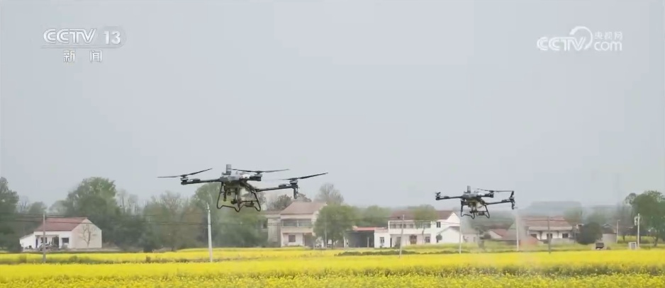 清明假日消费旺活力足 短途游、赏花+、国风潮成为热门关键词