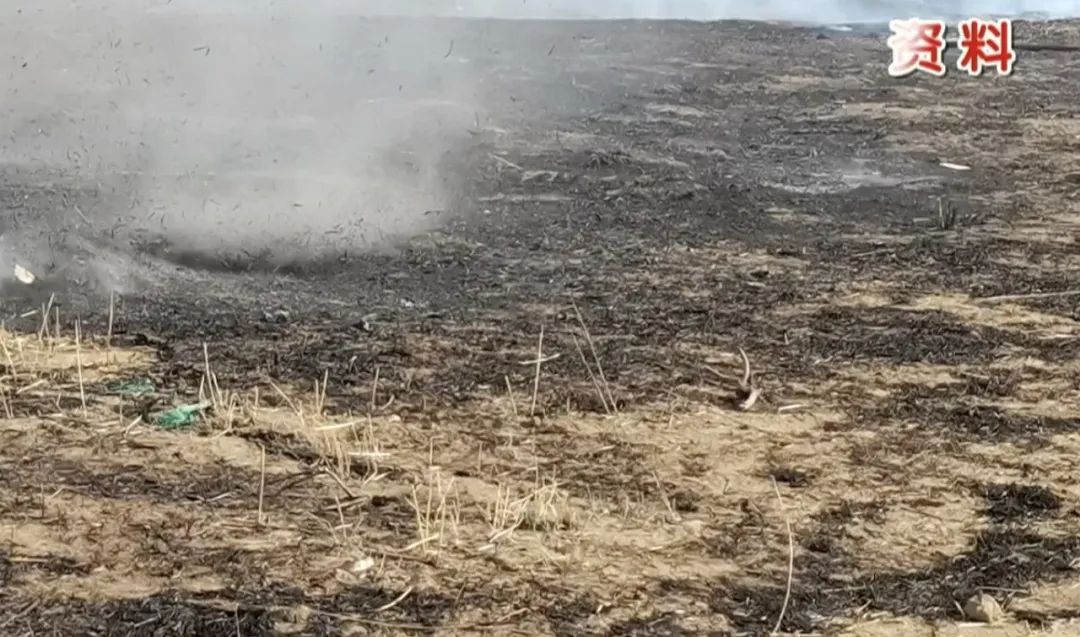 近期,多人因祭祀烧纸引发火灾!消防紧急提醒 近期,多人因祭祀烧纸引发火灾!消防紧急提醒