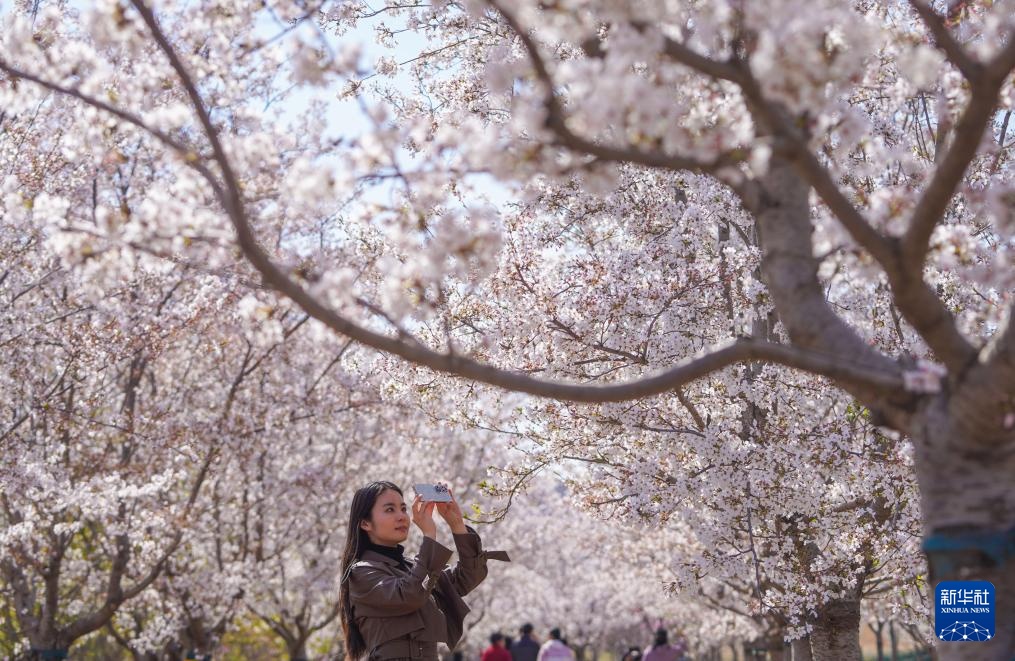共赴人间好时节 共赴人间好时节