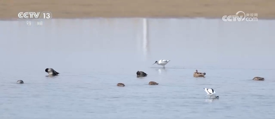清明假日消费旺活力足 短途游、赏花+、国风潮成为热门关键词
