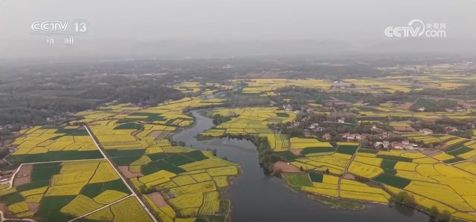 清明假日消费旺活力足 短途游、赏花+、国风潮成为热门关键词