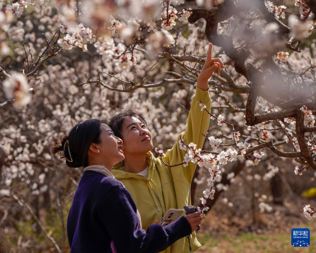 共赴人间好时节 共赴人间好时节