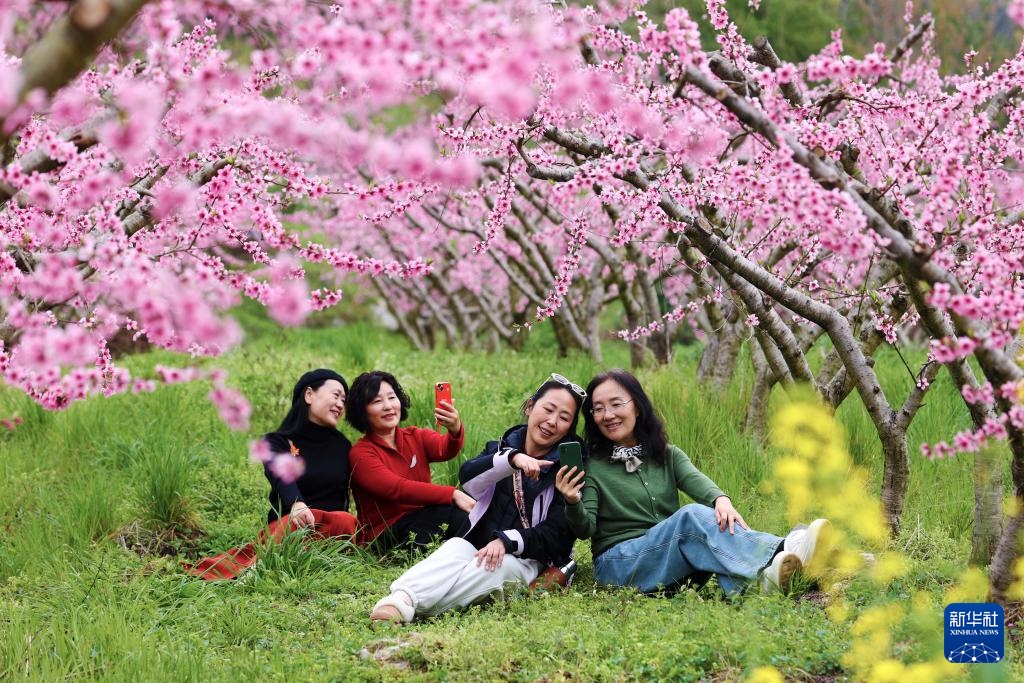 共赴人间好时节 共赴人间好时节