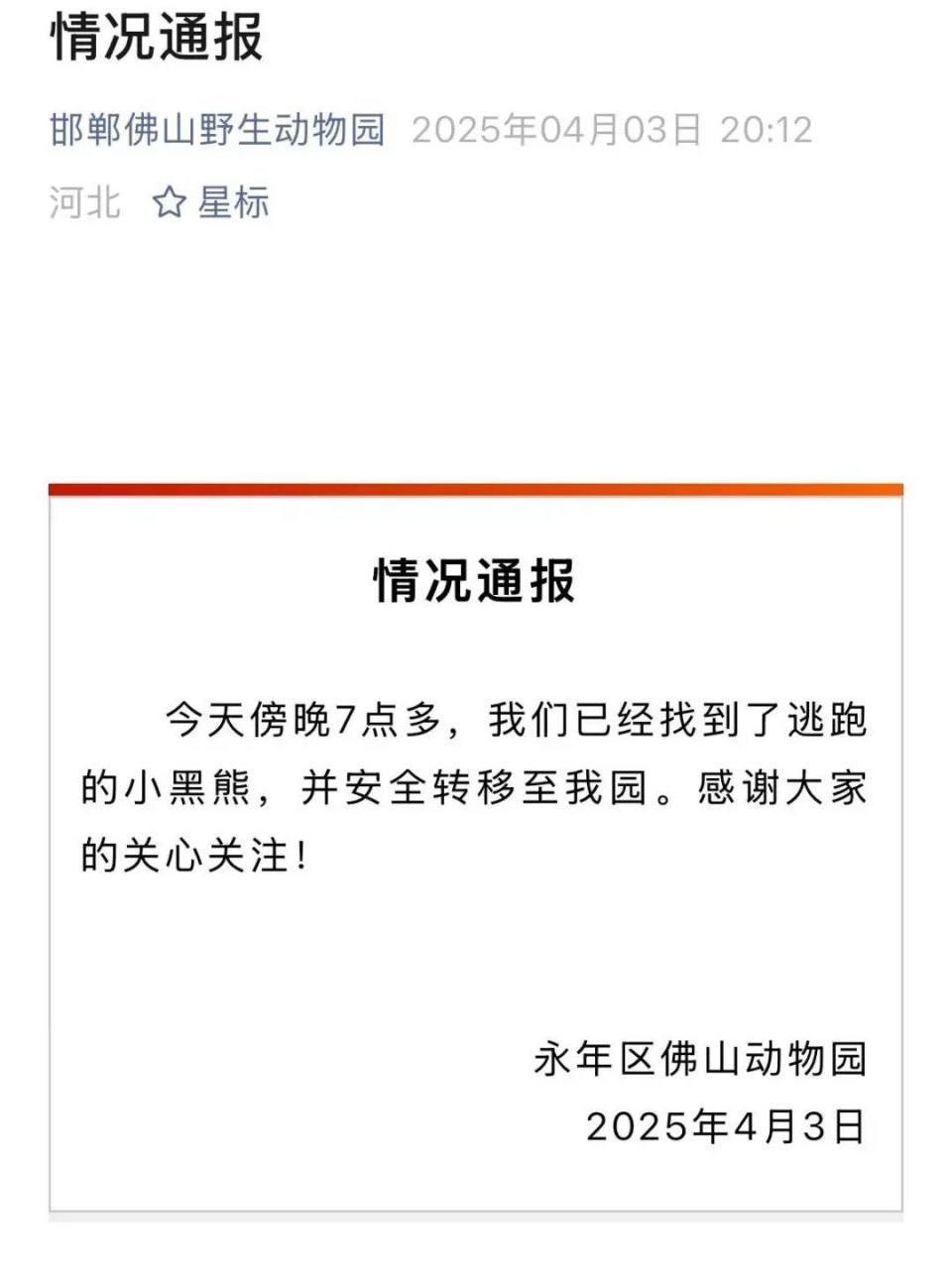 2岁“熊娃”出逃失踪,一动物园紧急关闭!网友:还好找到了 2岁“熊娃”出逃失踪,一动物园紧急关闭!网友:还好找到了