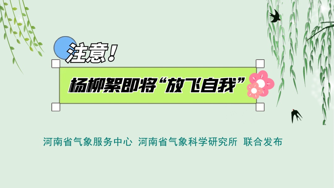 河南又要“下雪”了！