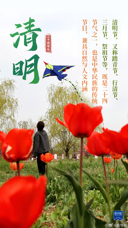 人间四月春 风起正清明